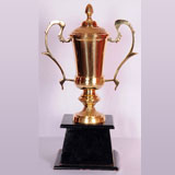 Best Super Designed Trophy Shop